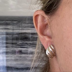 Tiffany & Co.  earrings